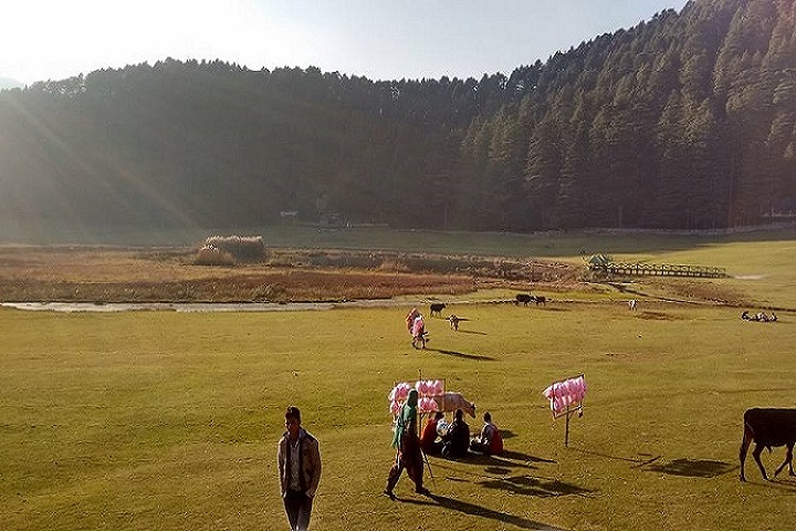 north india tours and travels shimla himachal pradesh